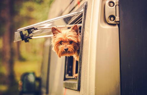 Remote temperature monitoring in RVs with Pets